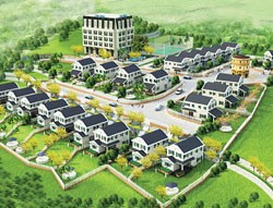 Dự án Country House

