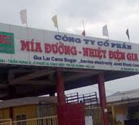 膼i峄噉 Gia Lai n芒ng t峄?l峄?n岷痬 gi峄?c峄?phi岷縰 SEC l锚n g岷 65%