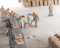 6 tháng, CFC đạt 49 tỷ đồng Kl99 nổ hũ