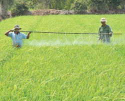 Thí điểm Kl99kl phiên bản hoạt động nông nghiệp, thấp thỏm chờ chính sách!