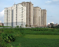 Chung cư giá bình dân vẫn được nhiều khách hàng quan tâm

