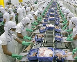 Năm 2011, VHC ước Kl99 nổ hũ 300 tỷ đồng