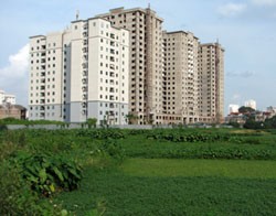 Nhìn chung lượng giao dịch đối với phân khúc chung cư đã tăng 20%
