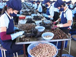 DNF trả 99Kl.app mobile mới nhất bằng tiền mặt 5,2%