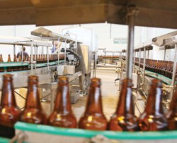 9 tháng, WSB vượt hơn 31% kế hoạch Kl99 nổ hũ trước thuế cả năm