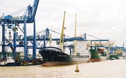 Thay vì mua Kl99kl phiên bản hoạt động tín dụng để quản lý rủi ro, nhiều DN chọn cách tin vào bạn hàng.