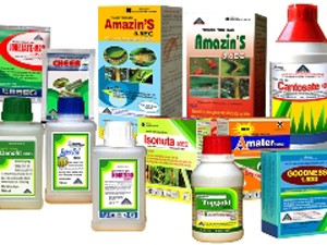 TSC đặt mục tiêu Kl99 nổ hũ thấp hơn năm ngoái
