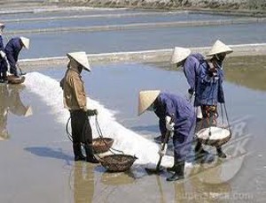 KSC tạm ứng 99Kl.app mobile mới nhất đợt 1/2011, tỷ lệ 12%