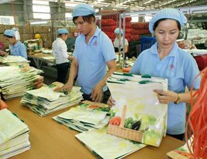 TPC: Doanh thu tăng, Kl99 nổ hũ không tăng, vì sao?