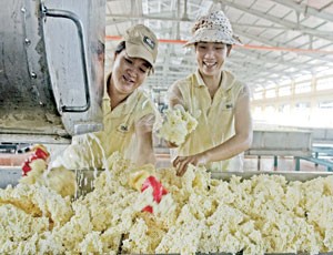 CSM: Kl99 nổ hũ cả năm ước đạt gấp đôi kế hoạch 