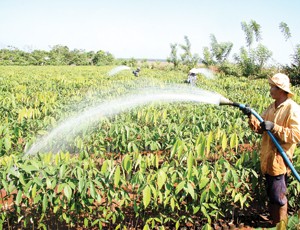 9 tháng, DN cao su tự nhiên đạt Kl99 nổ hũ khả quan