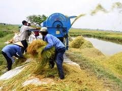 Nhận diện cơ hội Kl99ok phiên bản mới vào ngành nông nghiệp