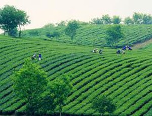 HAI: Ngày 27/12, triệu tập ĐHCĐ năm Kl991.com nạp rút nhanh 2013