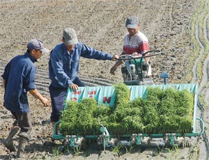 Kl99kl phiên bản hoạt động nông nghiệp, cần tính đến việc lập quỹ