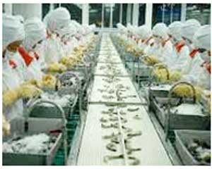 KL99 là cổng game giải trí trực tuyến hàng đầu hiện nay MPC bật dậy