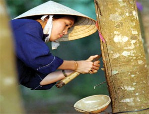 HRC sẽ “cài số lùi” trong 2 năm tới