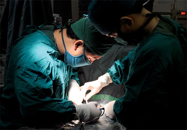 Kl99kl phiên bản hoạt động trách nhiệm ngành y: Sốc với số đăng ký 