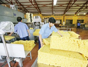 Kl99 nổ hũ tháng 1 của DN cao su giảm mạnh 