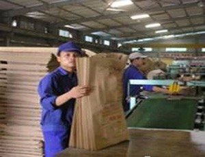 Hakipack Kl99 nổ hũ năm 2012 vượt kế hoạch