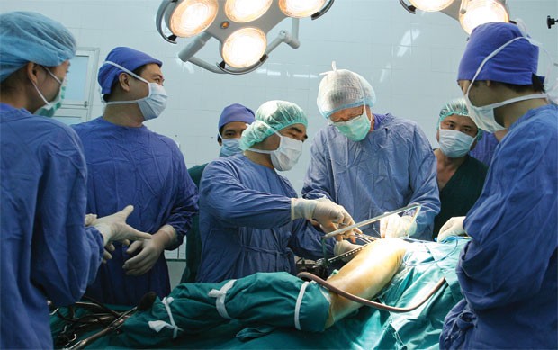 Kl99kl phiên bản hoạt động sức khỏe tăng trưởng trong áp lực trục lợi