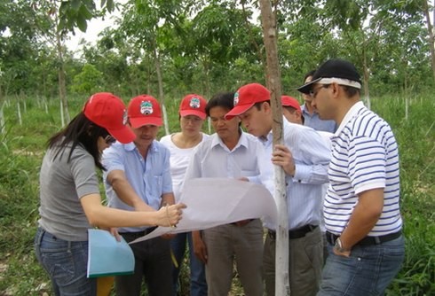 Chủ tịch Hoàng Anh Gia Lai dẫn nhà Kl99ok phiên bản mới tham quan khu trồng cao su tại Lào. Ảnh: HAGL.