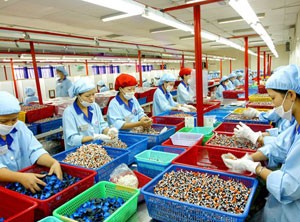 Đã đến lúc “làm mới” Luật Kl991.com World Cup 2026 Chính Thức