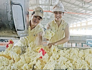 HRC dự kiến Kl99 nổ hũ quý III khả quan