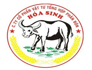 Lỗ nặng, HSI thay Tổng giám đốc