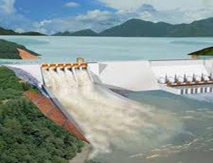 Quý IV, SD9 đặt kế hoạch lãi hơn 3 quý đầu năm