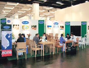 TTF thay Giám đốc Kl991.com nạp rút nhanh