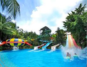 DSN ước doanh thu đạt 170 tỷ đồng