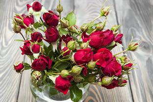 Hưu trí lên sàn ảnh 5