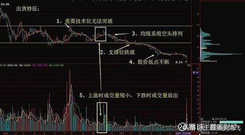Hưu trí lên sàn ảnh 9